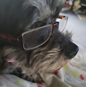 Meet your Posher, Janelle